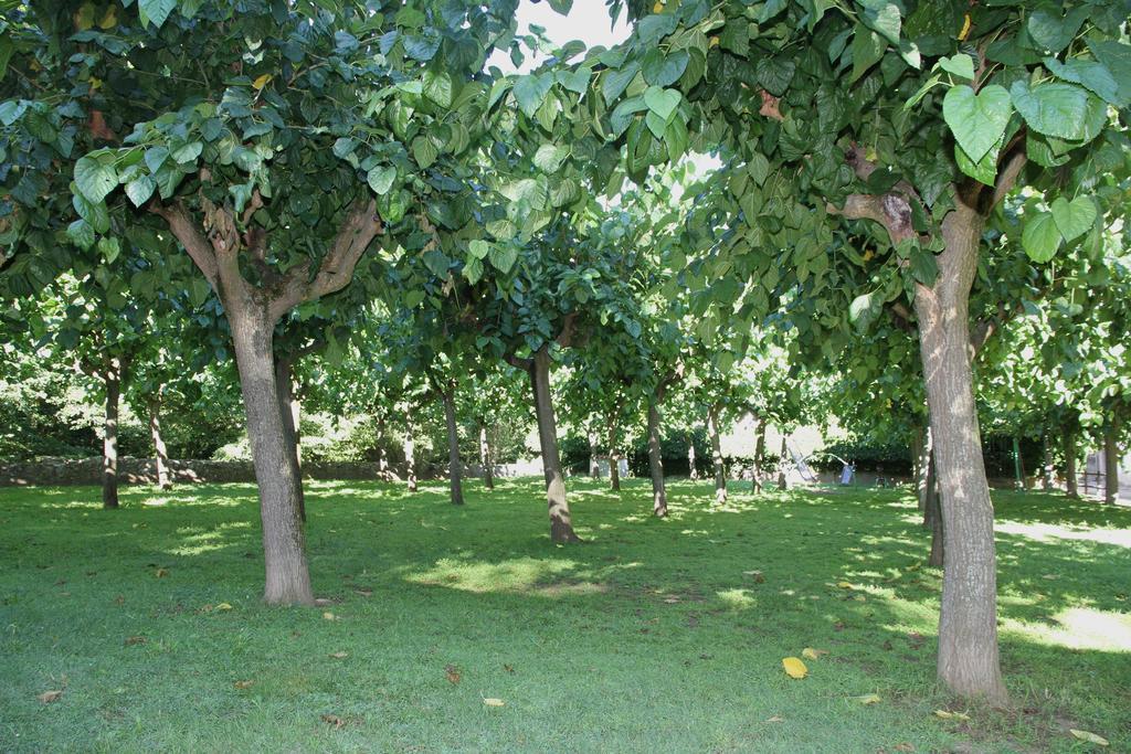 Holiday Home Can Clerc Osor Room photo